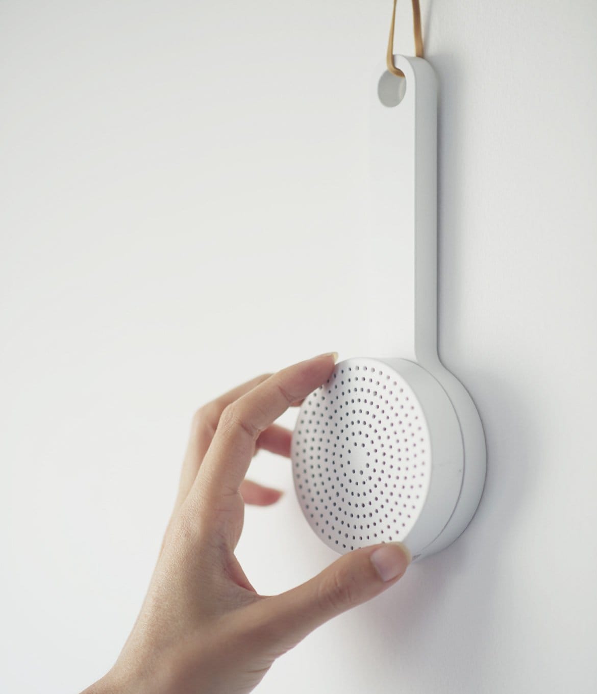 Portfolio Demo 7 Portfolio Demo 7